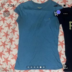 Small American eagle gently worn